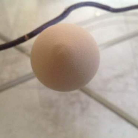 Philosophy Complexion Beauty Blending Sponge / BRAND NEW - Picture 2 of 4